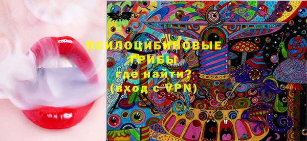 apvp Краснослободск