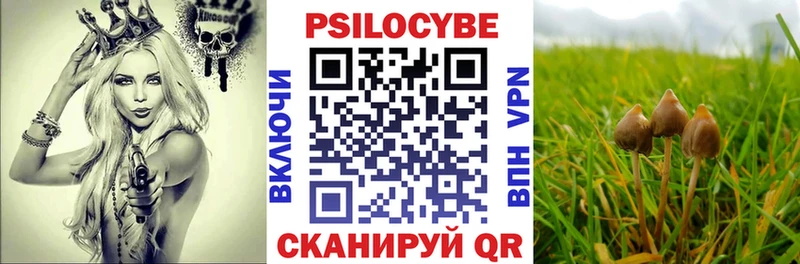 Купить закладки  Каспийск  Псилоцибиновые грибы Psilocybine cubensis 